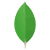 MongoDB-logo